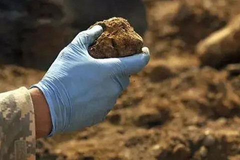 <a href=http://m.expomi.cn/turangjiance.html>土壤檢測</a>.jpg 土壤檢測.jpg